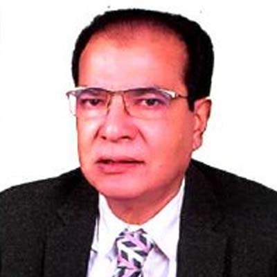 আসাদুল হাবিব দুলু