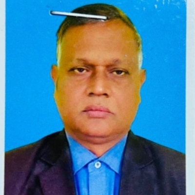 মো. সহিদুল এনাম পল্লব মিয়া