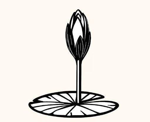 জাতীয় নাগরিক পার্টি