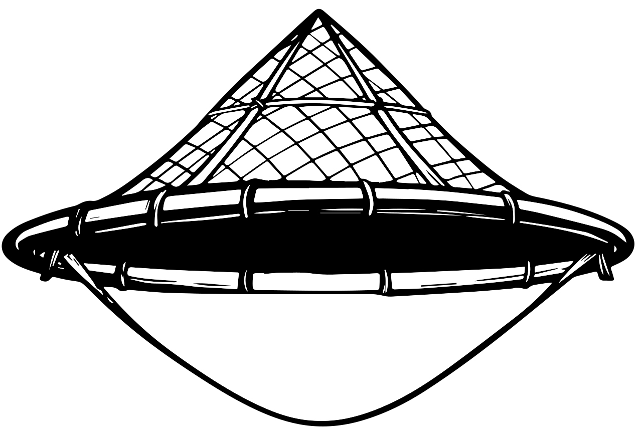 গণসংহতি আন্দোলন