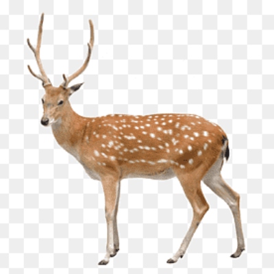 স্বতন্ত্র