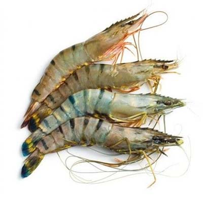 স্বতন্ত্র