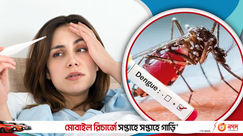 ডেঙ্গু জ্বরে ‘ভিটামিন ডি’ এত জরুরি কেন?