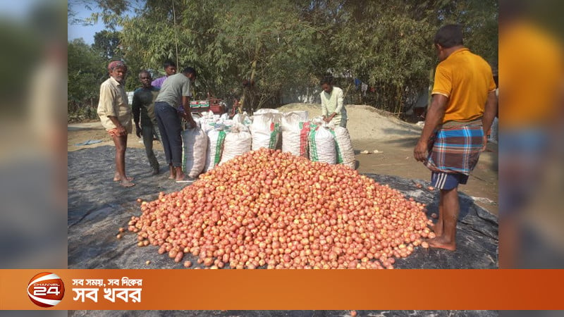 হিলিতে কমেছে আলু-পেঁয়াজের দাম, জনমনে স্বস্তি