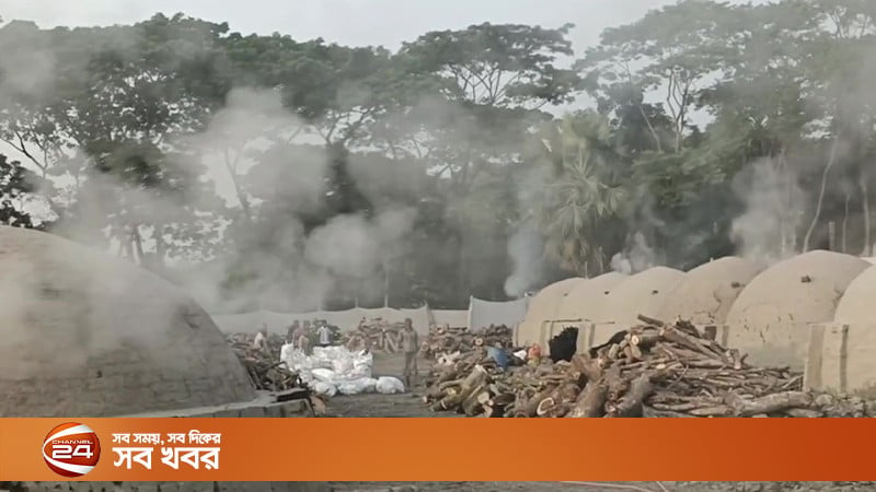 ছাড়পত্র ছাড়াই অবাধে চলছে গাছ পুড়িয়ে কয়লা তৈরির মহোৎসব