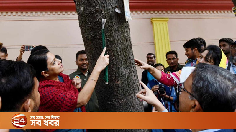 গাছ সুরক্ষায় নতুন আইন, নিষিদ্ধ হচ্ছে পেরেক ঠুকে বিজ্ঞাপন দেয়া