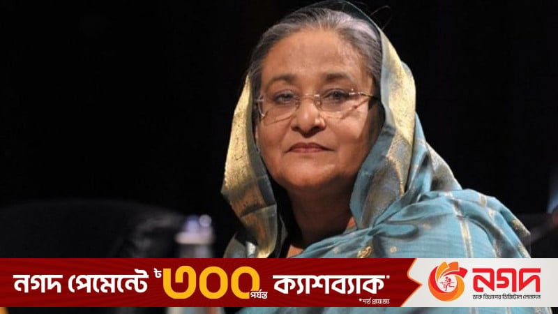 বাংলাদেশের প্রত্যর্পণ অনুরোধ রুখতে যা করতে পারেন শেখ হাসিনা