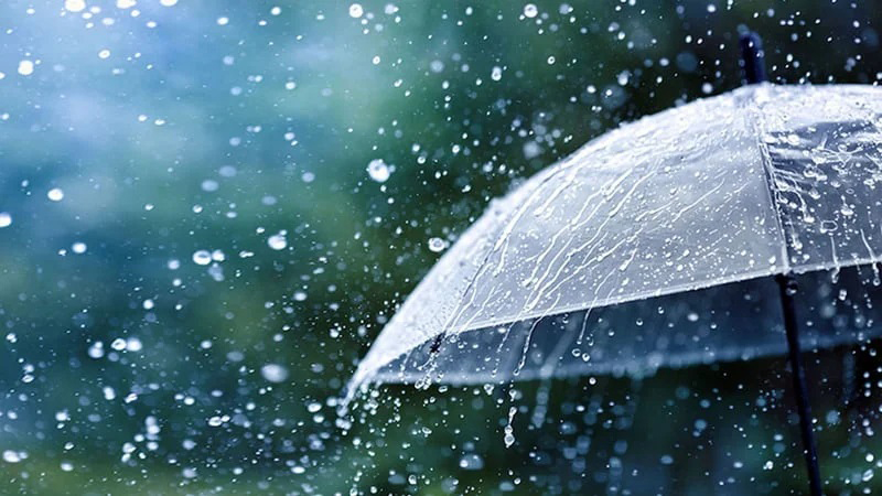 পাঁচদিন কোথায় কোথায় বৃষ্টি হতে পারে জানালো আবহাওয়া অধিদপ্তর