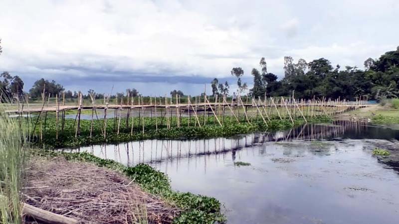 স্থানীয়দের নিজ উদ্যোগে তৈরি সাঁকো।