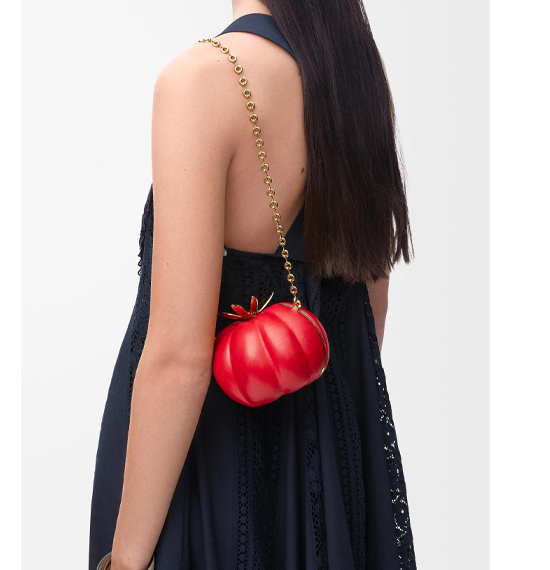 ৩,৯৫০ ডলারে টমেটো ব্যাগ নিয়েও কম সমালোচনা হয়নি। ছবি: সংগৃহীত