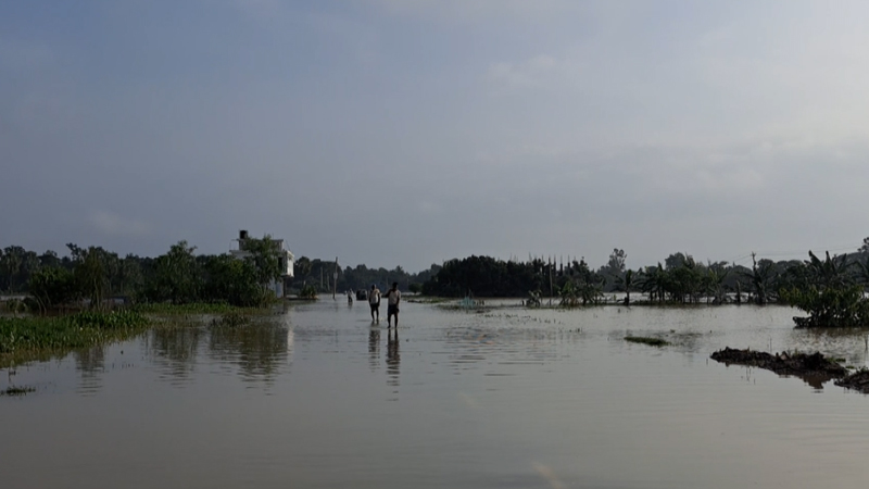 এখনো পানিবন্দী অনেক মানুষ। ছবি: চ্যানেল 24