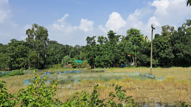 পুকুর ও মাছের ঘের ভেসে যাওয়ায় মাছচাষিরা বড় ধরনের আর্থিক বিপর্যয়ের মুখে পড়েছেন। ছবি: চ্যানেল 24