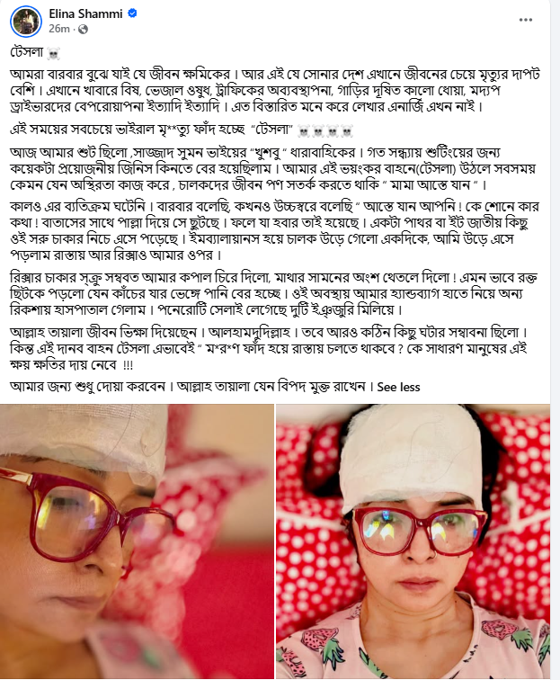 এলিনা শাম্মীর ফেসবুক পোস্ট। ছবি: সংগৃহীত
